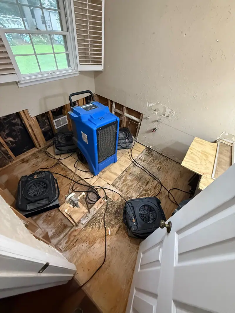 Flood cut along the wall, studs open, dehumidifier and air movers on the subfloor