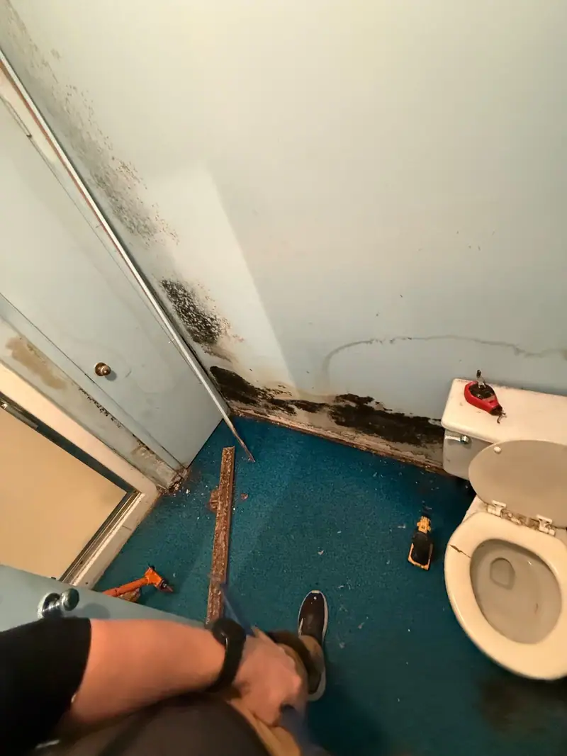 Mold growing along the bathroom baseboard and up the corner by the shower
