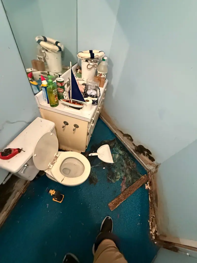 Bathroom corner with rotted baseboard and wet carpet beside the toilet