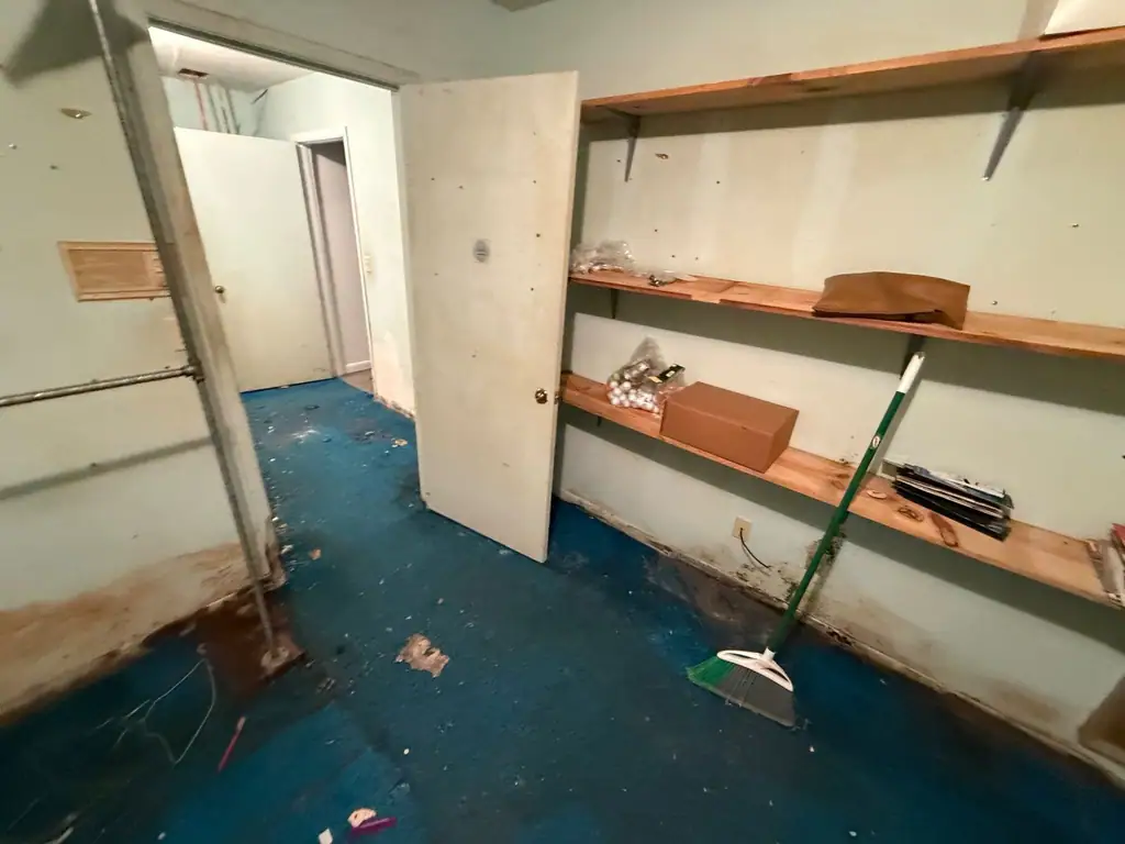 Water-stained closet with mold along the bottom of the wall and wet blue carpet