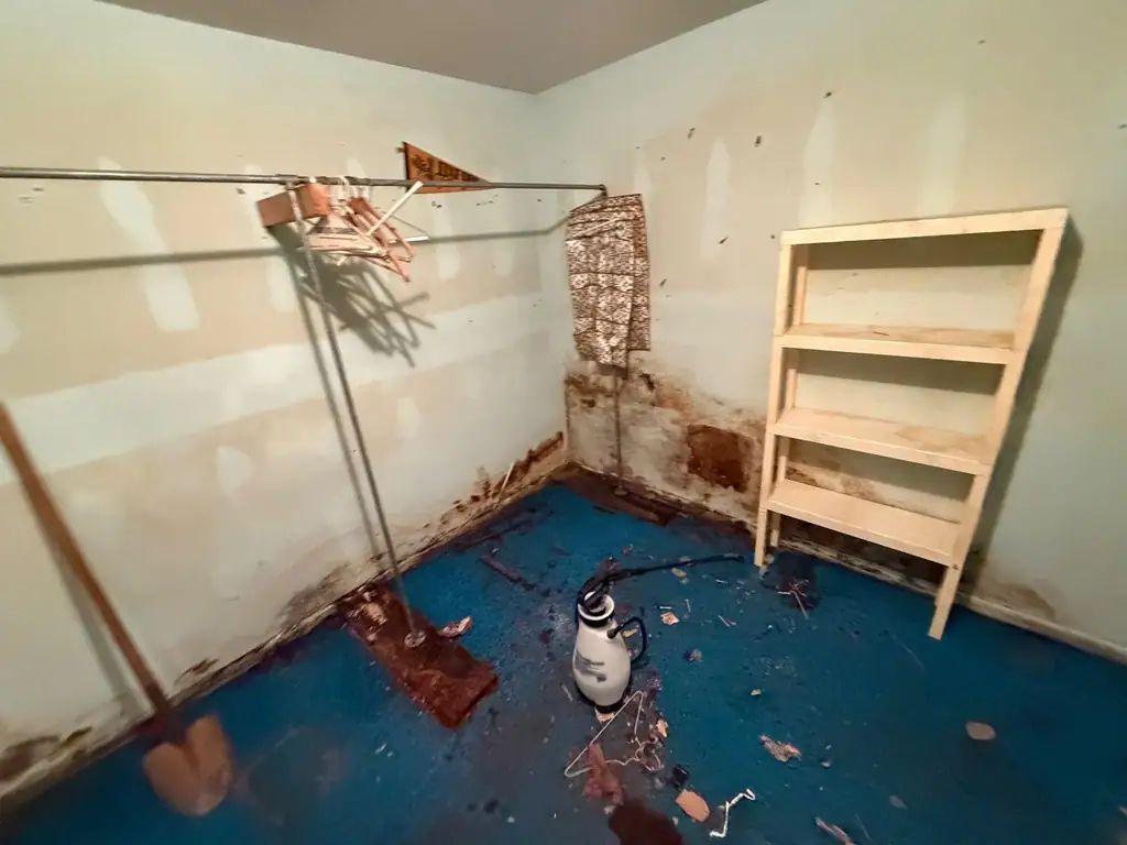 Water and mold stains along the base of the walls in a carpeted room