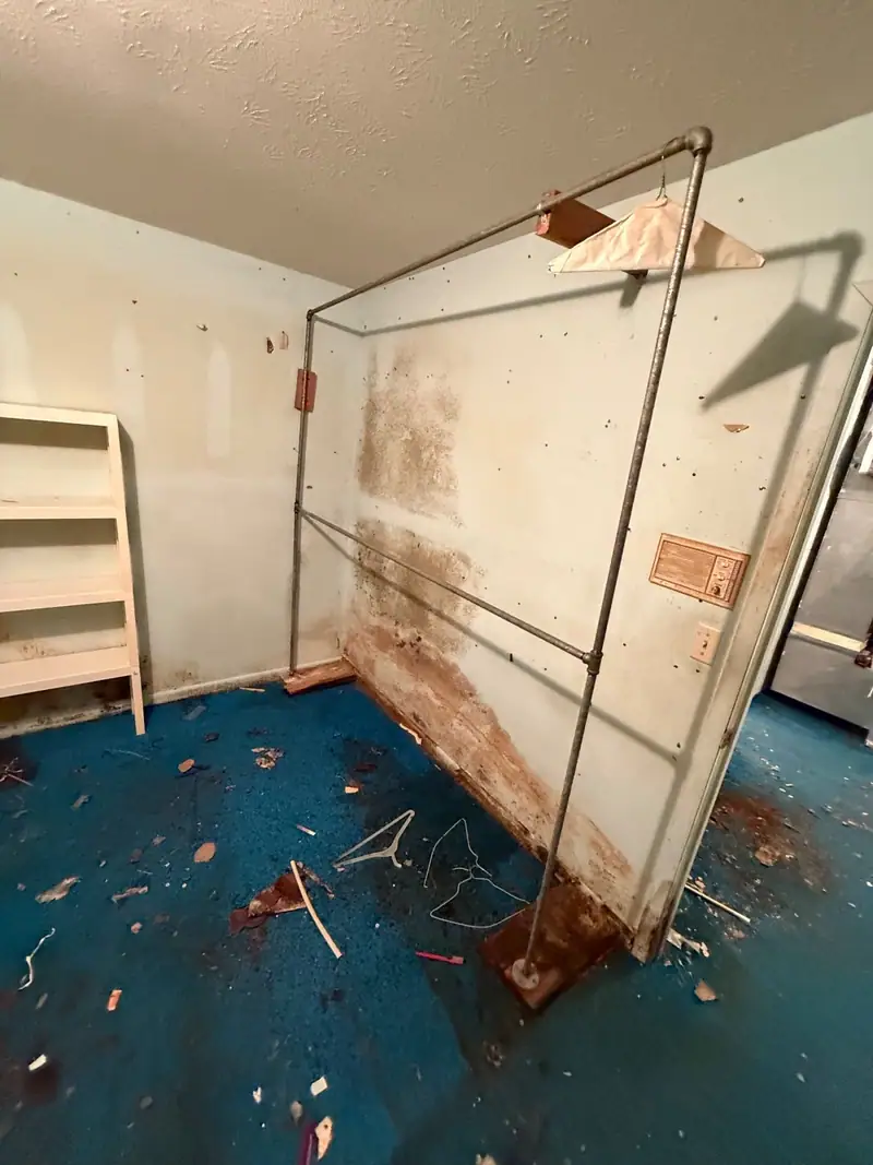 Mold and water stains up the wall behind a clothes rack