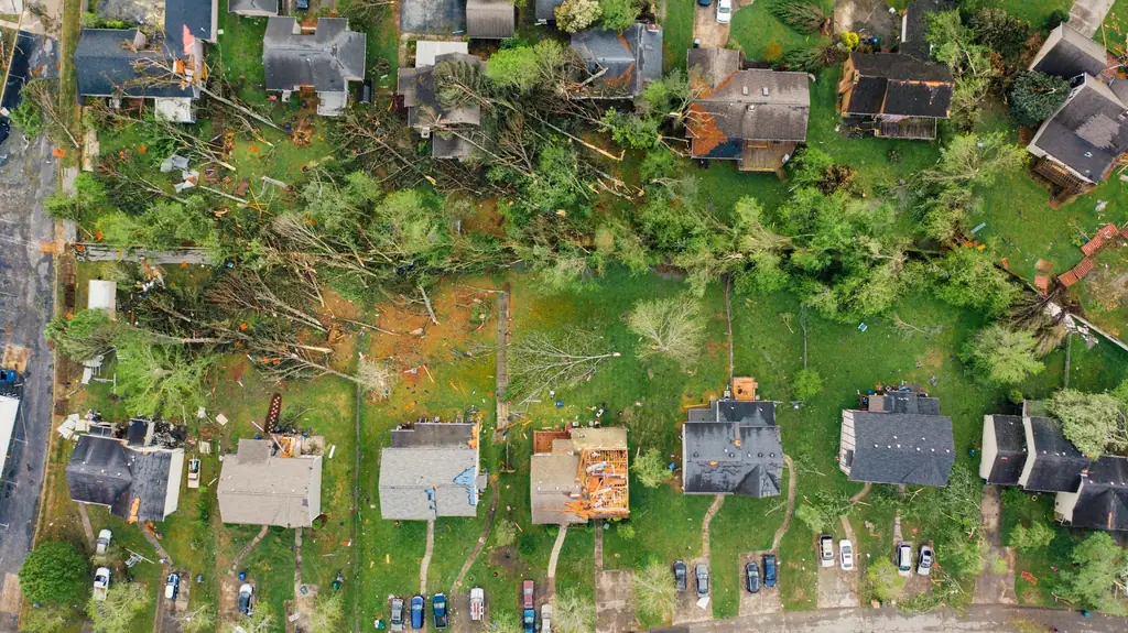 Rows of houses with trees down across the yards after a storm